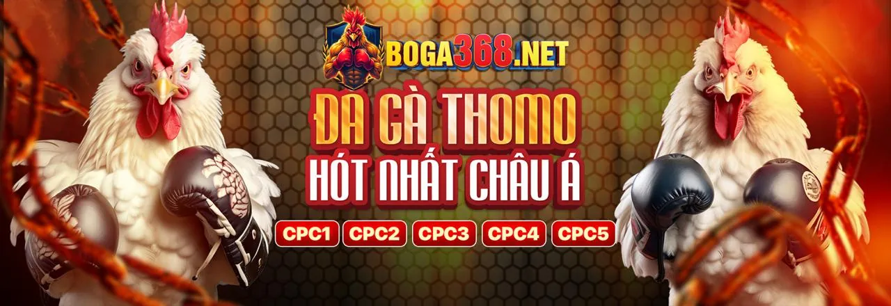 Tính năng bảo mật và an toàn của 98win5 Casino